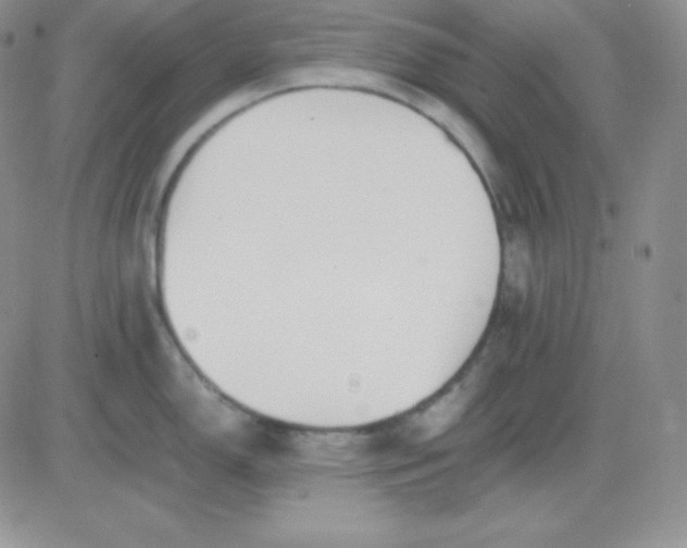 X0000081311150200701251736