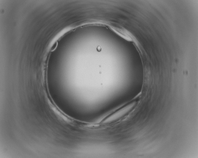 X0000081311151200701251736