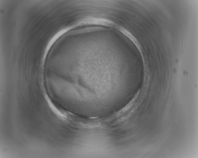 X0000081311152200701251736