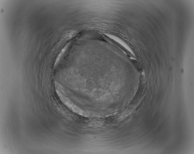 X0000081311153200701251736