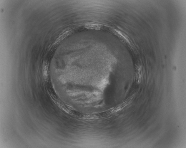 X0000081311154200701251736