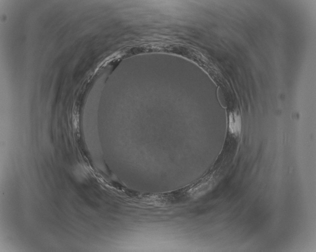 X0000081311155200701251736