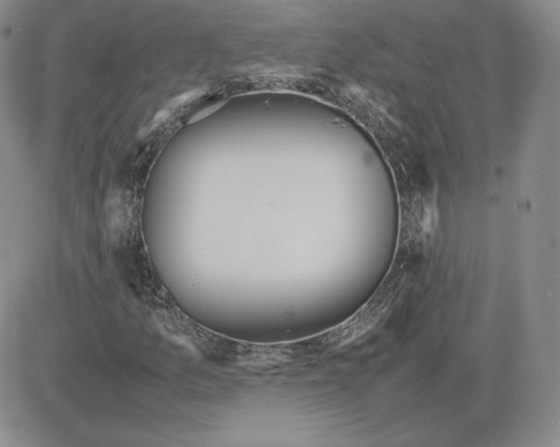 X0000081311157200701251736