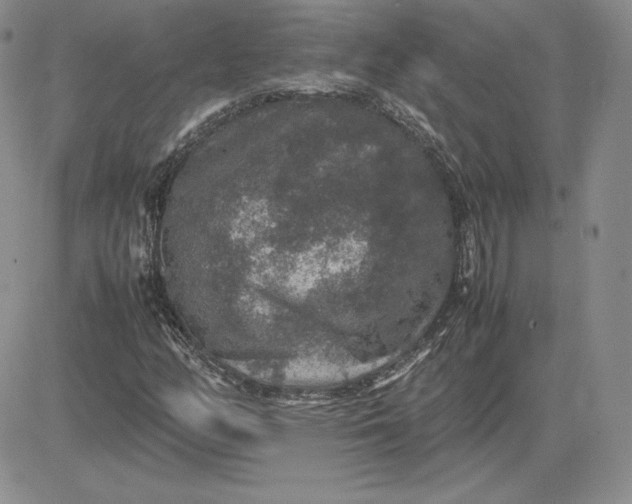 X0000081311158200701251736