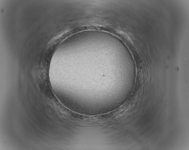 X0000081311159200701251736