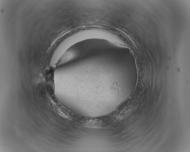 X0000081311160200701251736