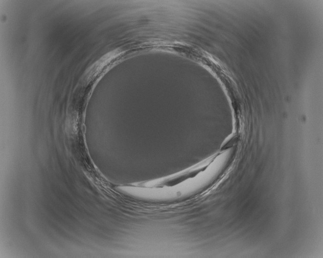 X0000081311161200701251736