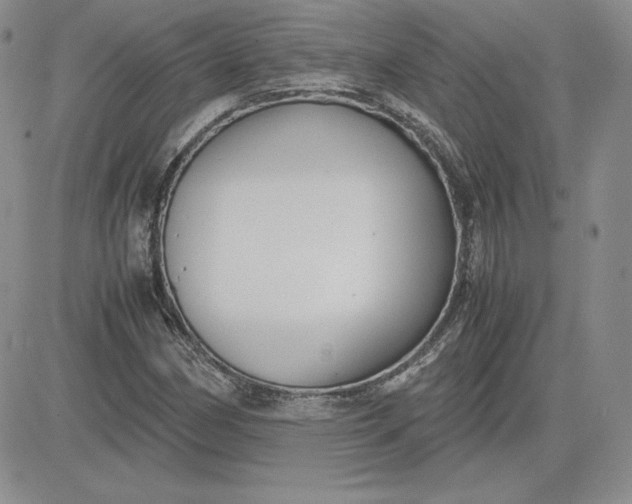 X0000081311162200701251736