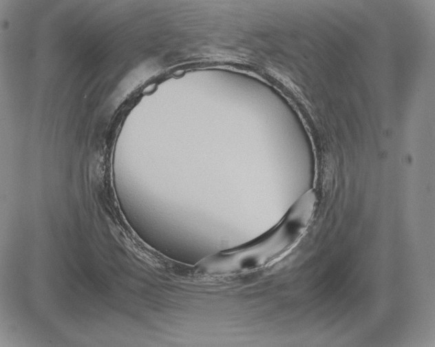 X0000081311163200701251736