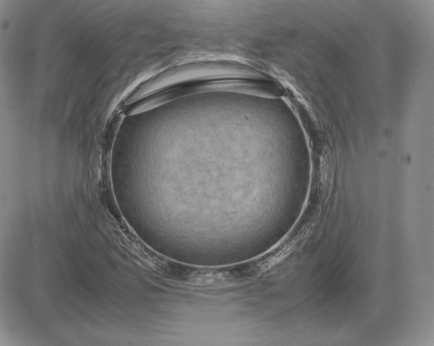 X0000081311165200701251736