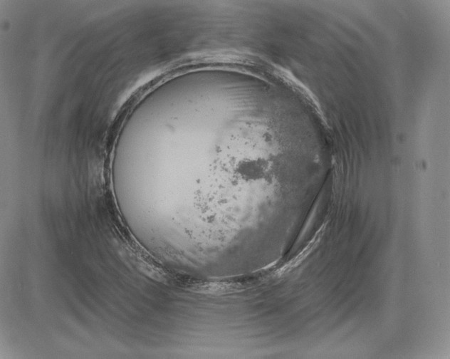 X0000081311166200701251735