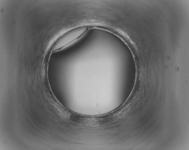 X0000081311167200701251735