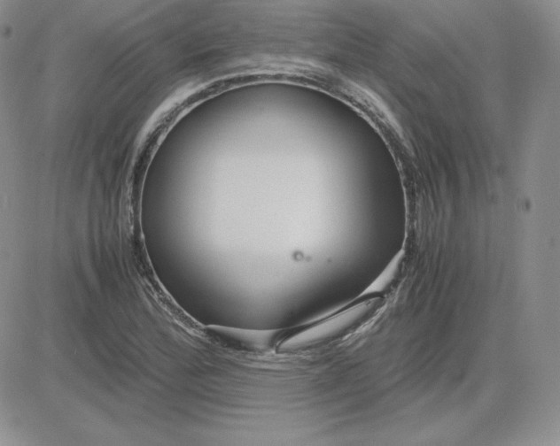 X0000081311172200701251735