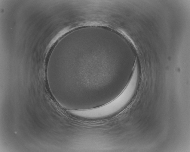 X0000081311173200701251735