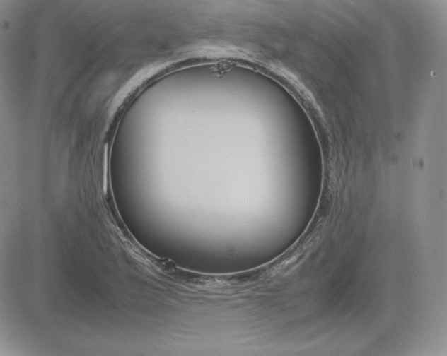 X0000081311175200701251735