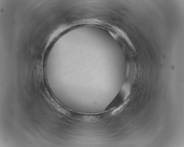 X0000081311176200701251735