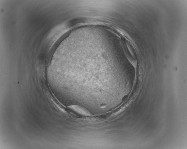 X0000081311177200701251735