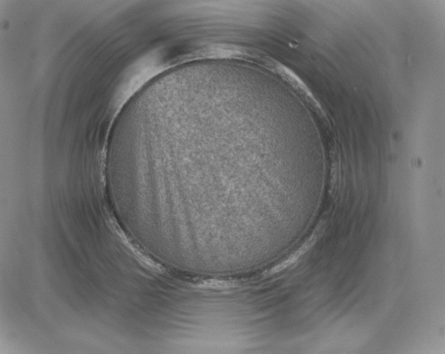 X0000081311178200701251735