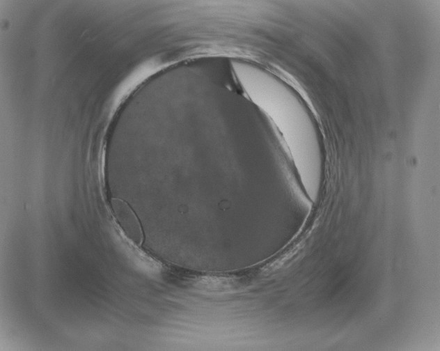 X0000081311179200701251735