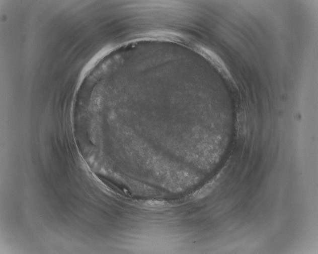 X0000081311180200701251735