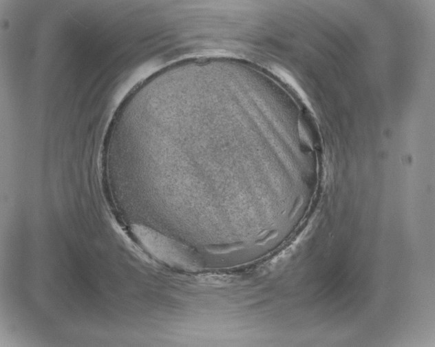 X0000081311181200701251735