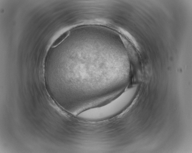 X0000081311184200701251735