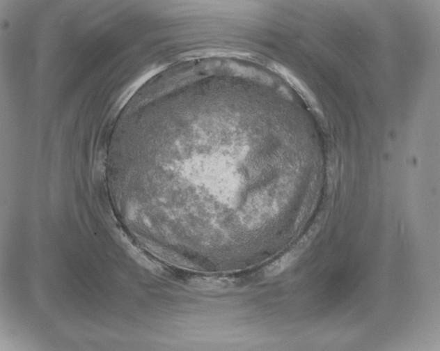 X0000081311185200701251735