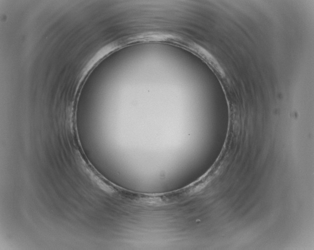 X0000081311186200701251735