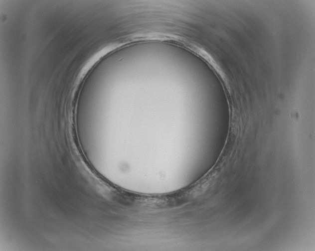 X0000081311187200701251735