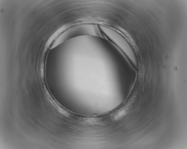 X0000081311188200701251735