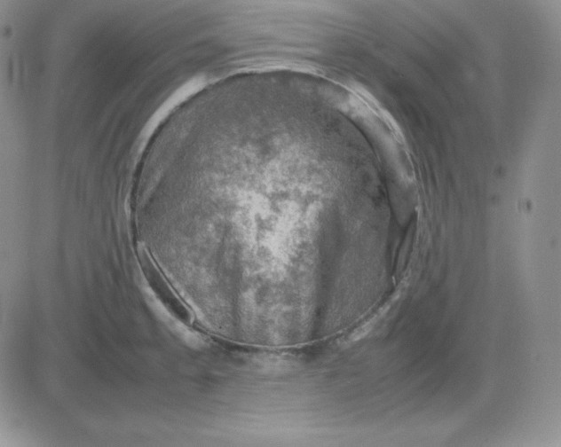 X0000081311189200701251735