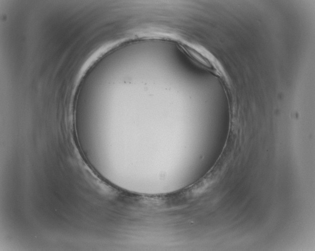 X0000081311191200701251735