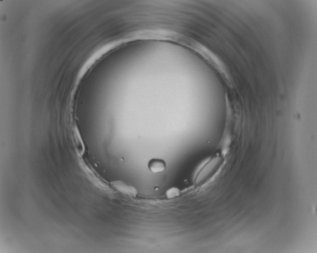 X0000081311192200701251735