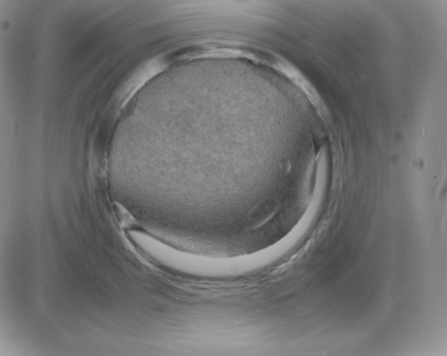 X0000081311193200701251735