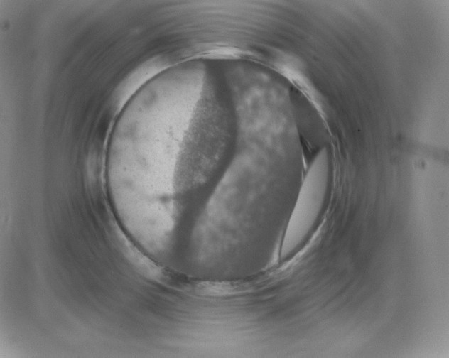 X0000081311194200701251735