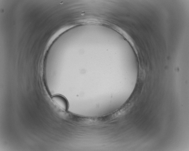 X0000081311195200701251735