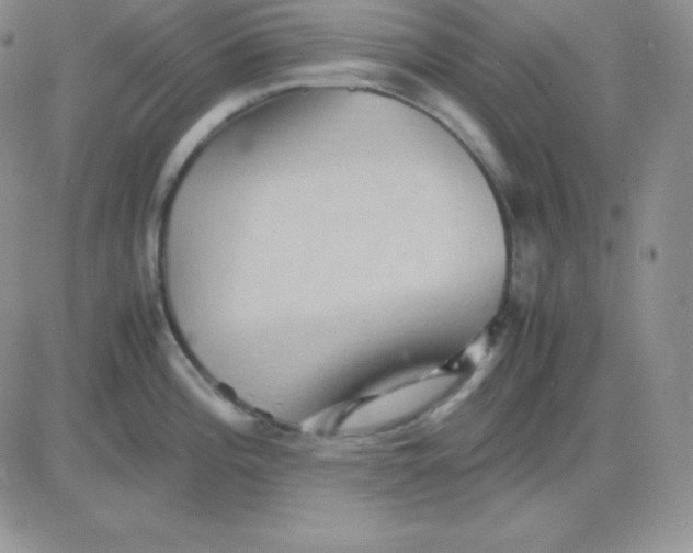 X0000081311196200701251735