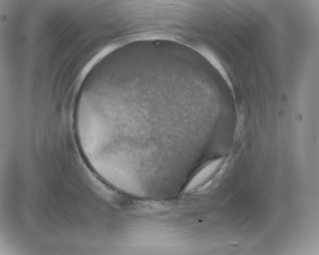 X0000081311197200701251735