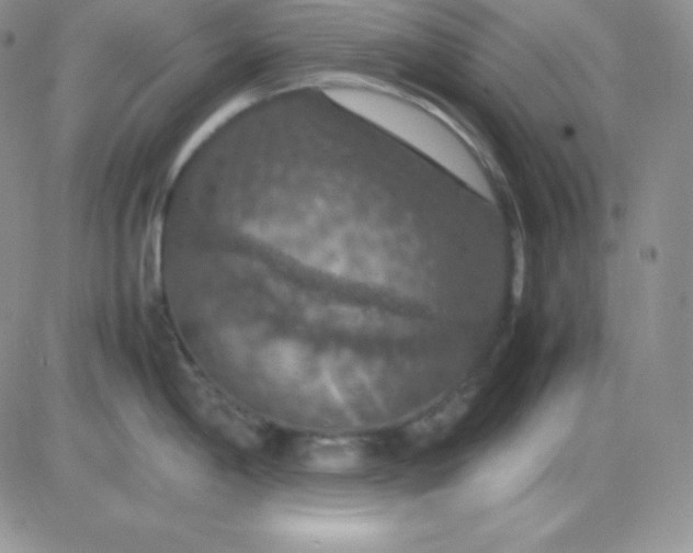 X0000081311198200701251735