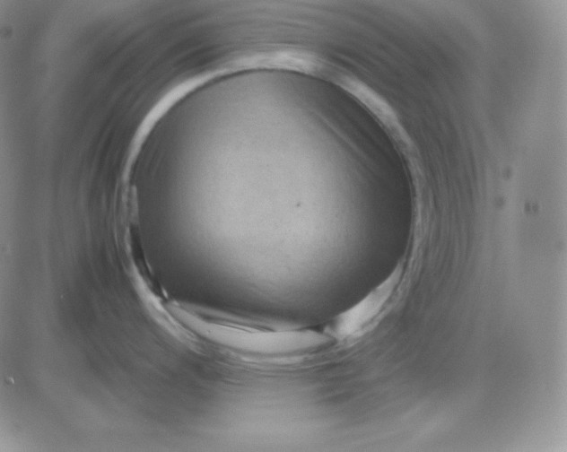 X0000081311200200701251735