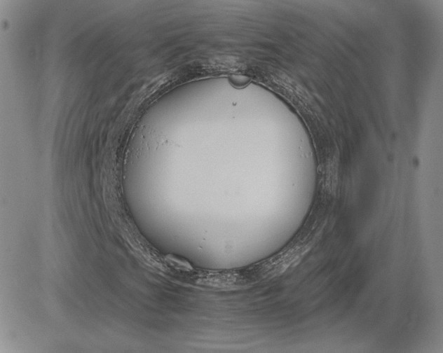 X0000081311201200701251734