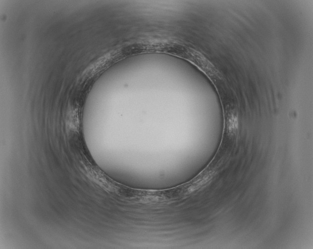 X0000081311204200701251734