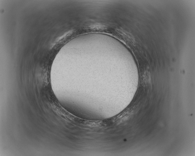 X0000081311205200701251734