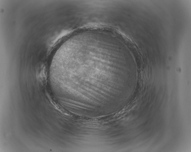 X0000081311206200701251734