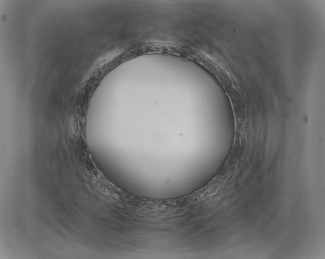 X0000081311207200701251734