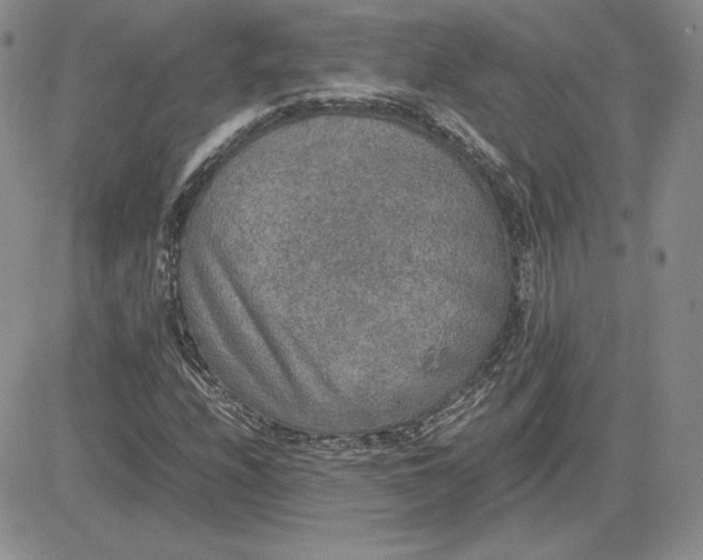 X0000081311208200701251734