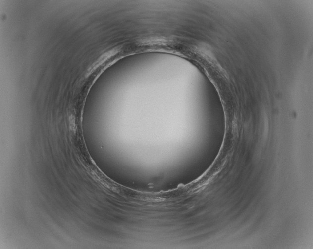 X0000081311209200701251734