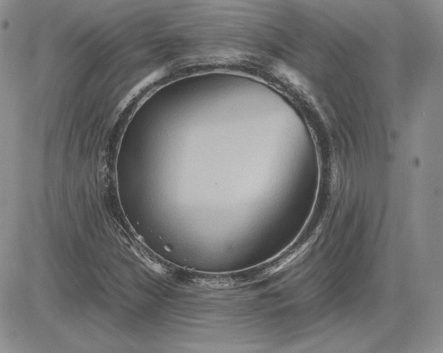 X0000081311210200701251734