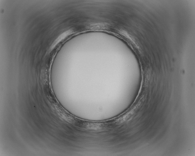 X0000081311211200701251734