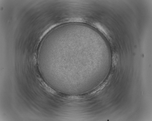 X0000081311212200701251734